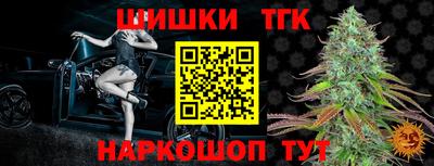 хмурый Кингисепп