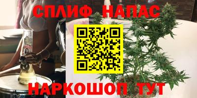 ешки Кинель