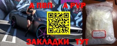хмурый Кингисепп