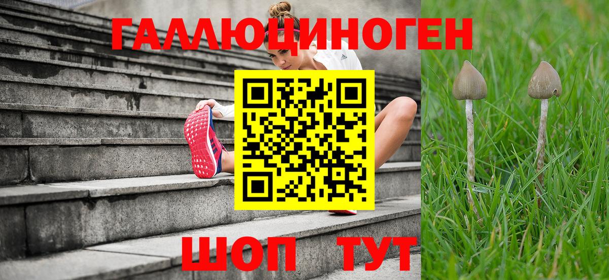 закладка  Вход с VPN  Кузнецк  Псилоцибиновые грибы ЛСД 