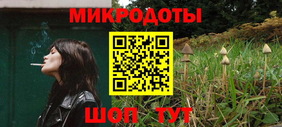 Галлюциногенные грибы Psilocybine cubensis Кузнецк